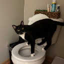 señor silly
