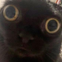 Goofydoofy
