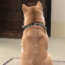 もずく丸