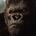 Kong