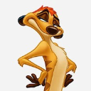 Timon