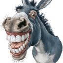 Donkey