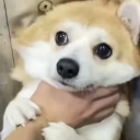 B¡cycle卡打掐