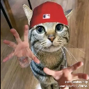 Pluemmini