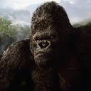 Kong