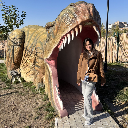 ლ Dino ლ