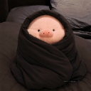 CuddleHammBuddy