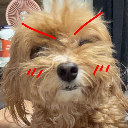 kichi