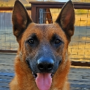 Strykur