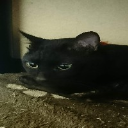 ジブラルタル