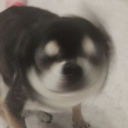 땡구뷔페