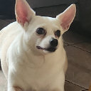 Churro