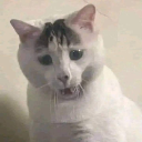 牛霸天