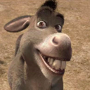 Dønkey