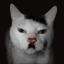 Adolf Kittler