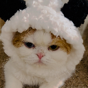 Baby DQ Bonny 봄