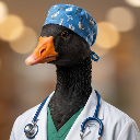 Dr Goose