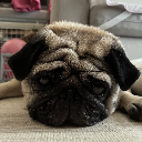PUG郎