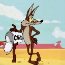 Coyote