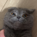 Knusper