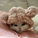 Kitty Queen