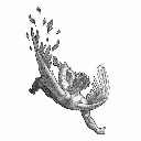 Icarus