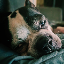 Vinny