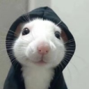 bart_fart_mouse