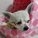 쩡아아빠
