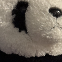 Panda S