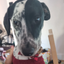 Cruella