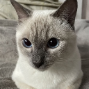 Olive Dani