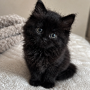 BabyFreya