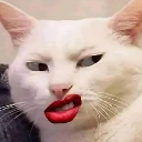 BeeMBy