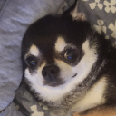땡구대장