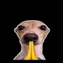 T A U Q E E R
