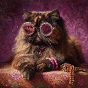 Princess Donut