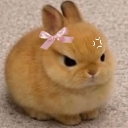 Miu