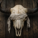 BLINDBISON
