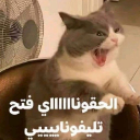 ماجوج