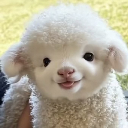 Fluffy