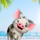 Pua