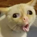 WiSaNgGeNii
