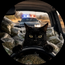 ᓚᘏᗢ CAT ᗢᘏᓗ