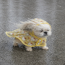 ラララ