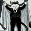 Meiow