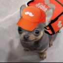 Dozeh