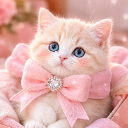 Mini U˚ʚෆɞ