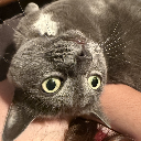 KnightmareNova