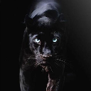 Panther